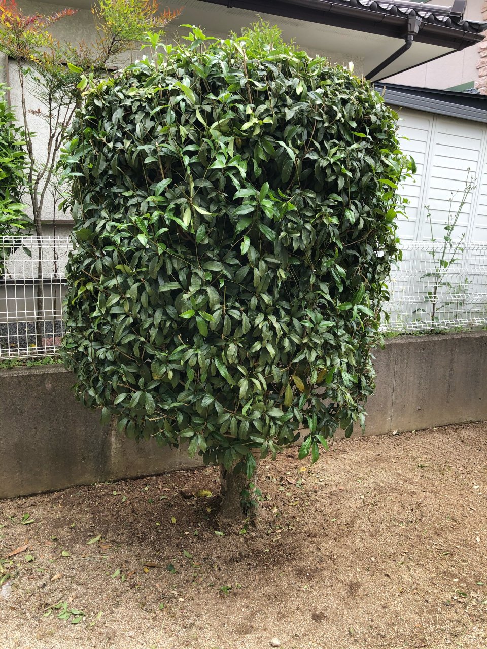 アースリサイクル|福島市・便利屋・不用品買取り・遺品整理・片付け・住宅リフォーム