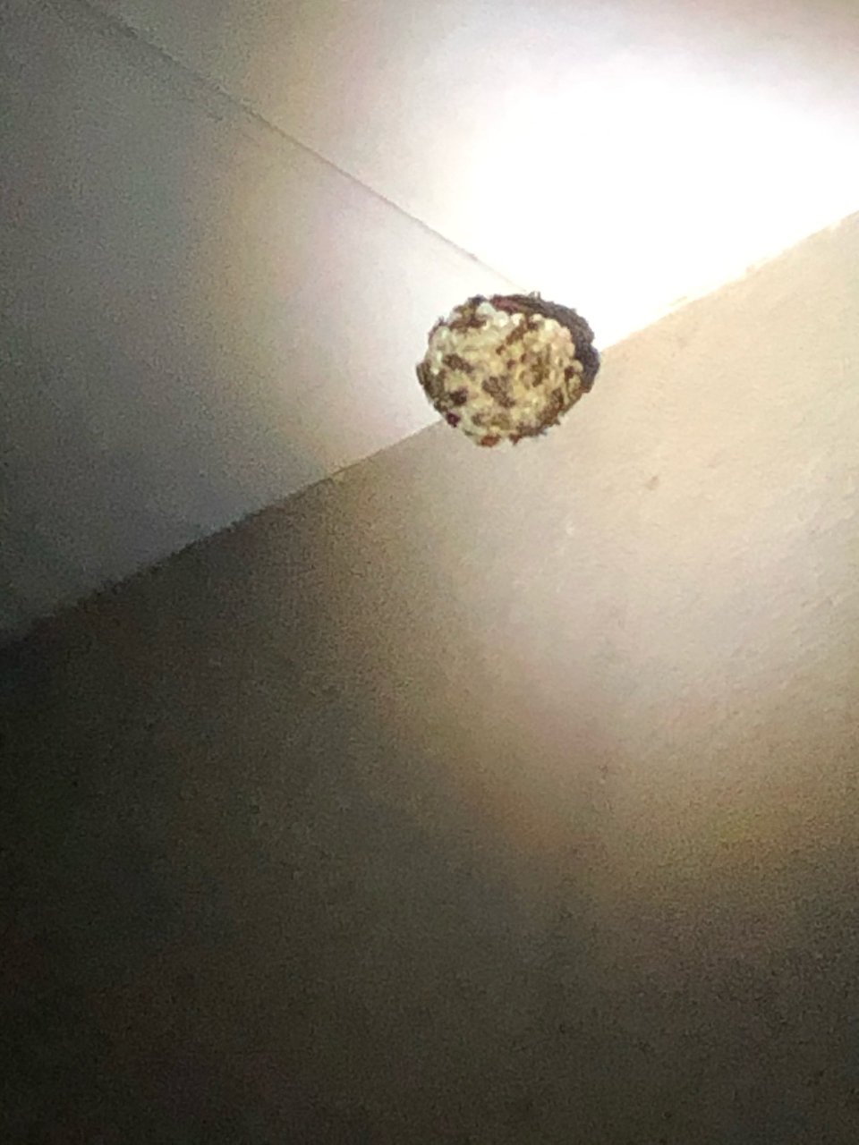 アースリサイクル|福島市・便利屋・不用品買取り・遺品整理・片付け・住宅リフォーム