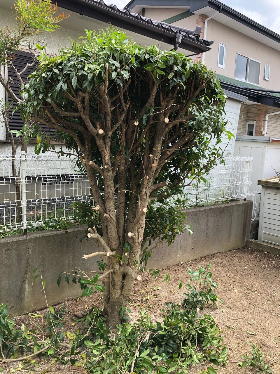 アースリサイクル|福島市・便利屋・不用品買取り・遺品整理・片付け・住宅リフォーム