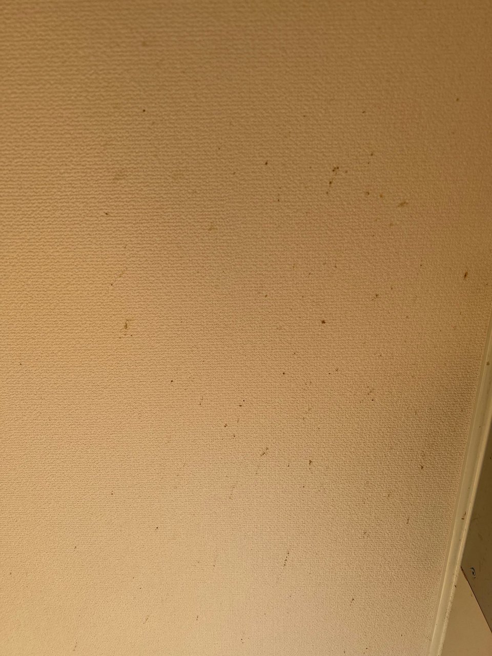 アースリサイクル|福島市・便利屋・不用品買取り・遺品整理・片付け・住宅リフォーム